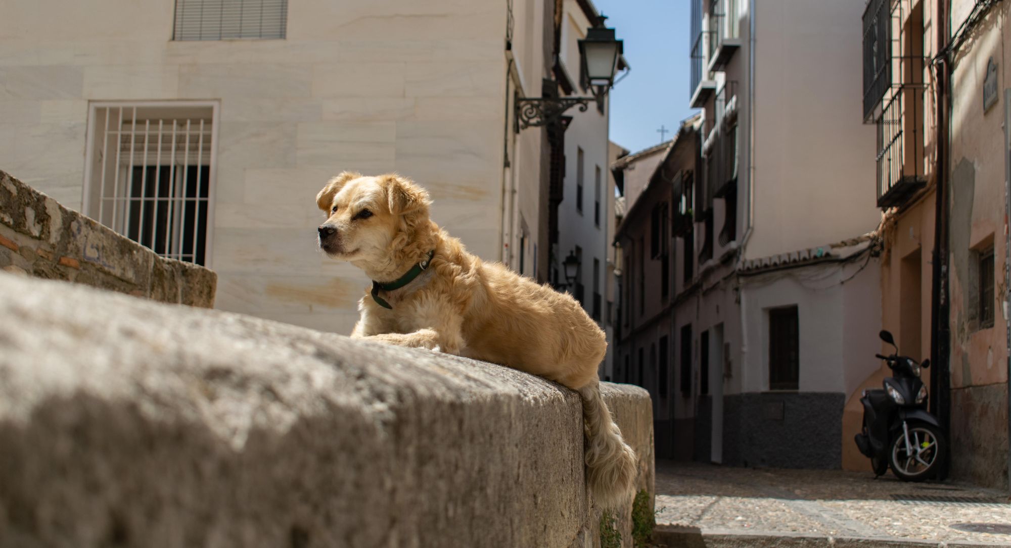Day 1 in Granada, Spain