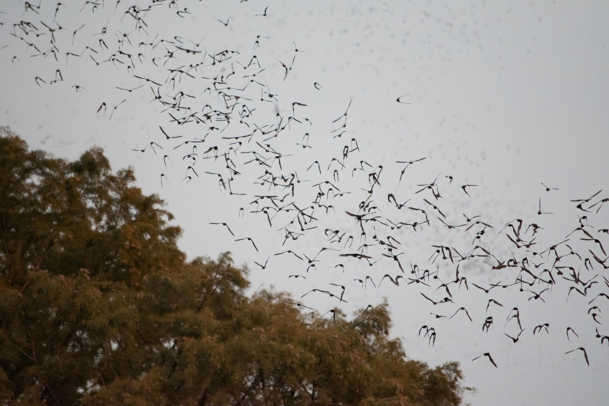 Austin, Texas