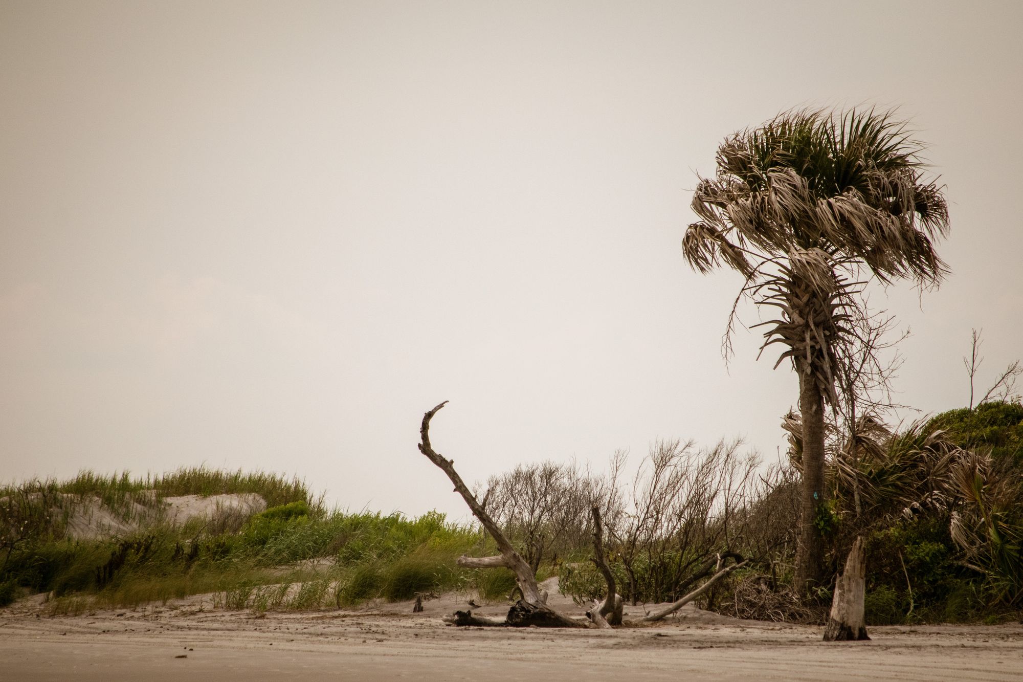 Charleston, South Carolina