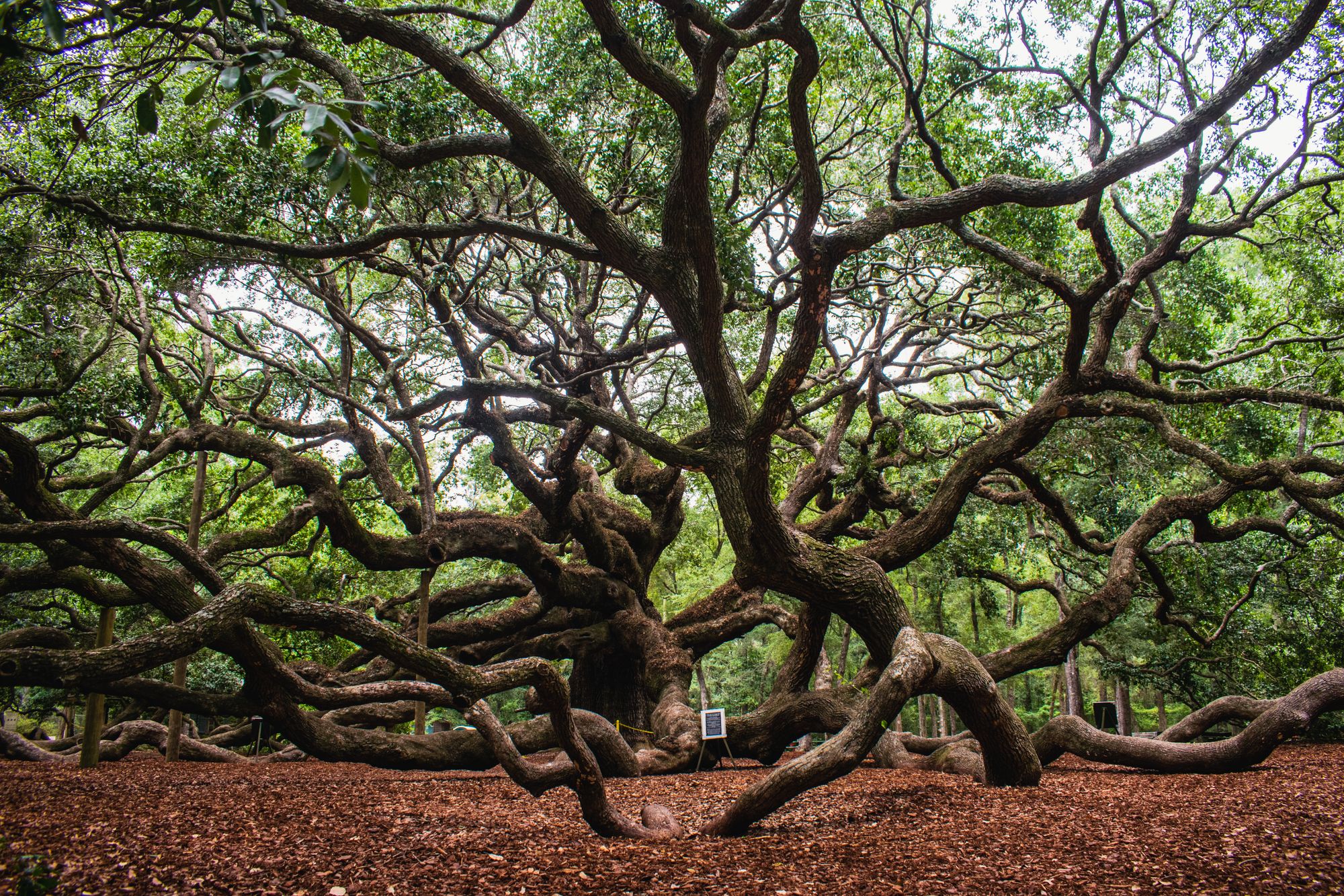 Charleston, South Carolina