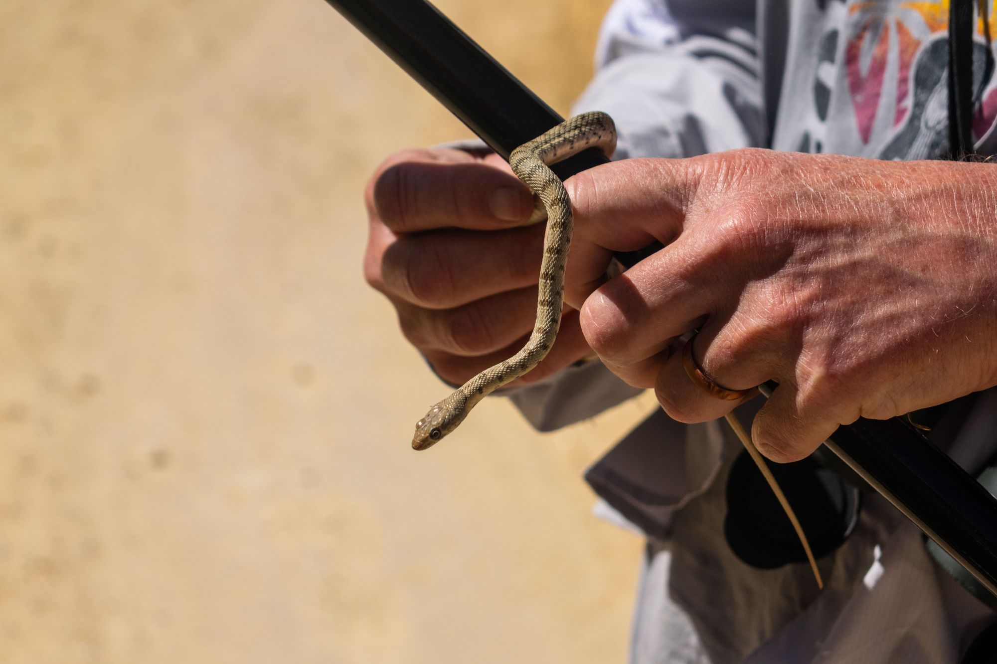 Beni Kedeche and Ksar Hallouf