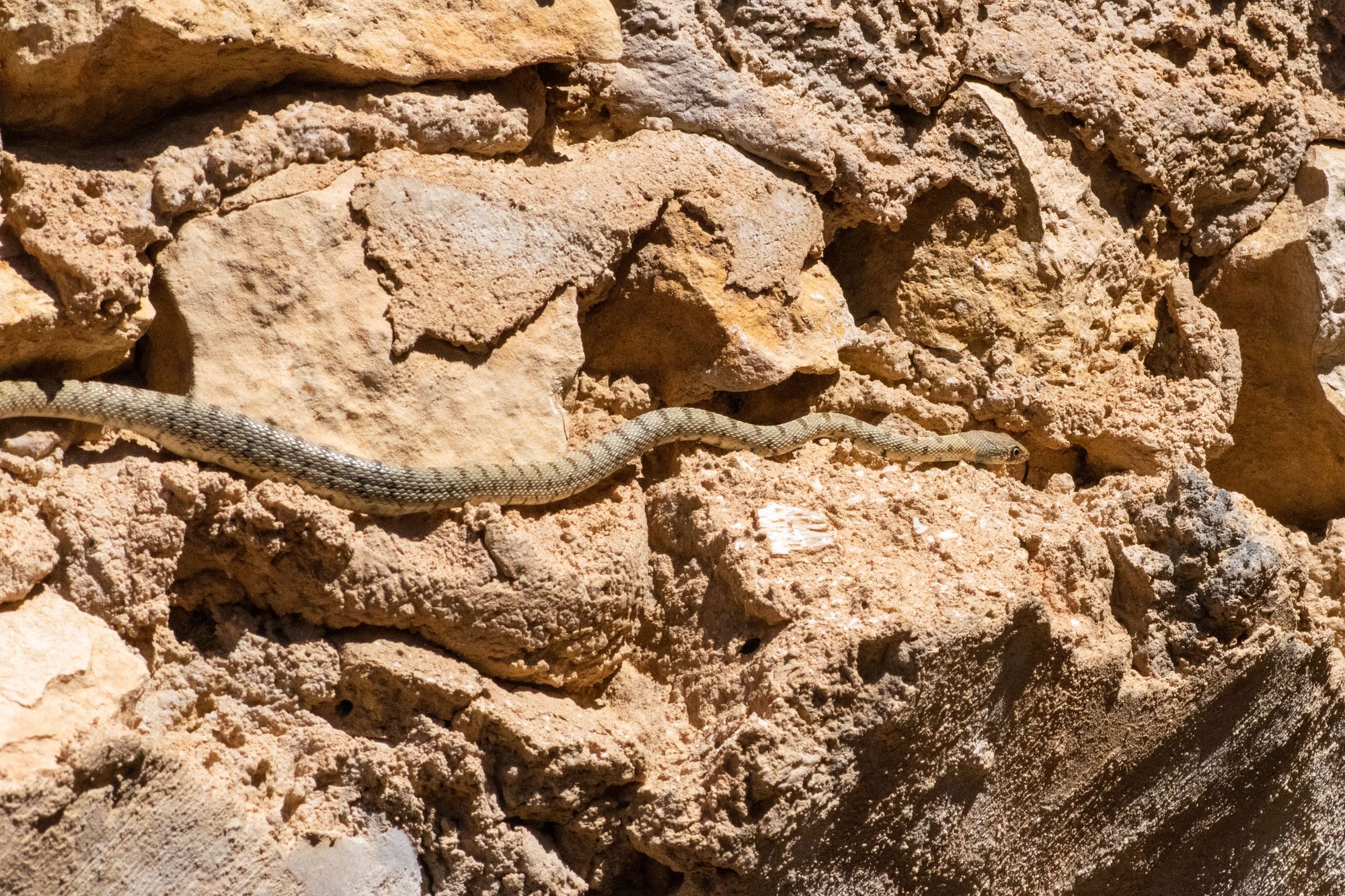 Beni Kedeche and Ksar Hallouf