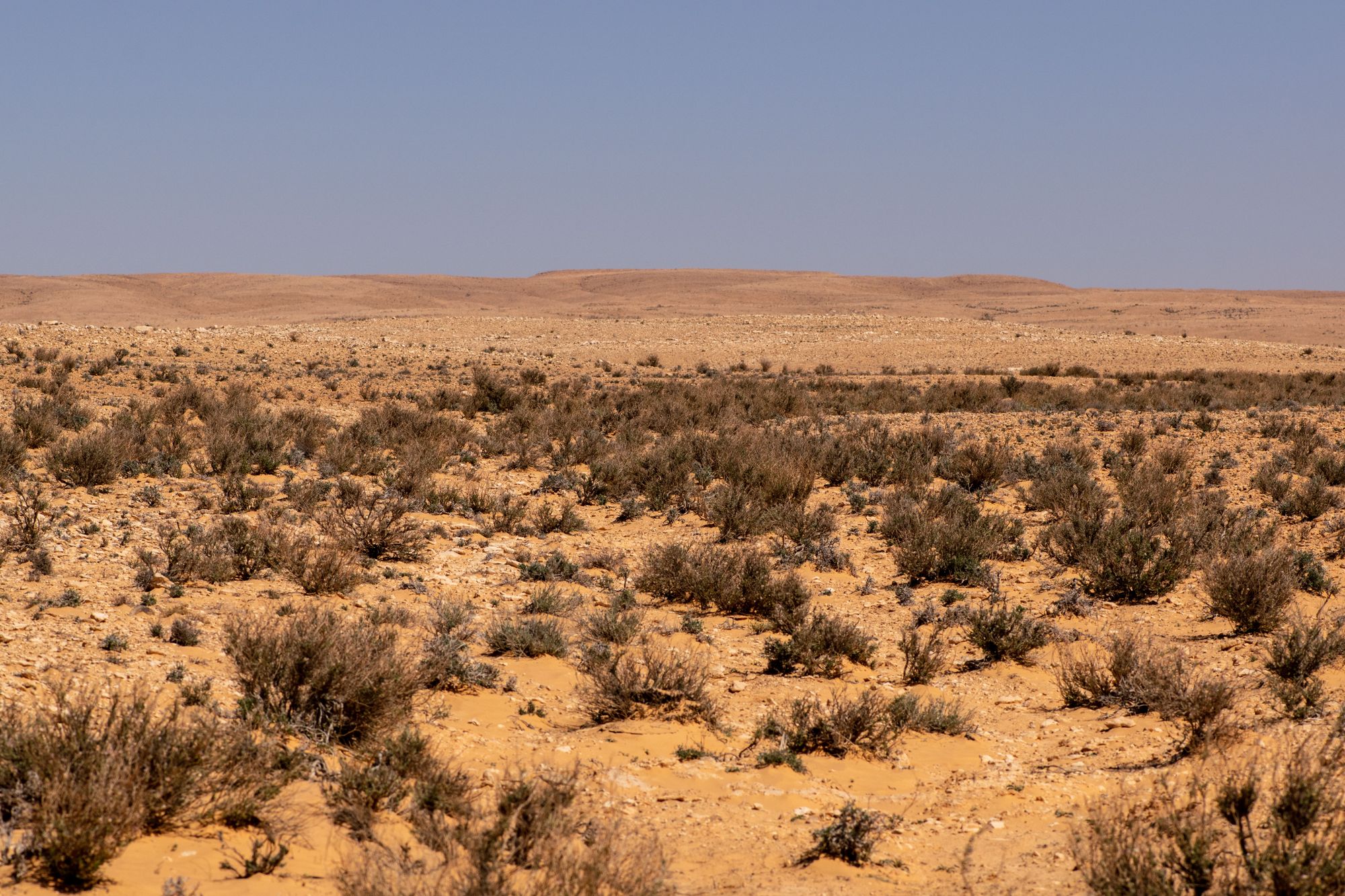 Beni Kedeche and Ksar Hallouf
